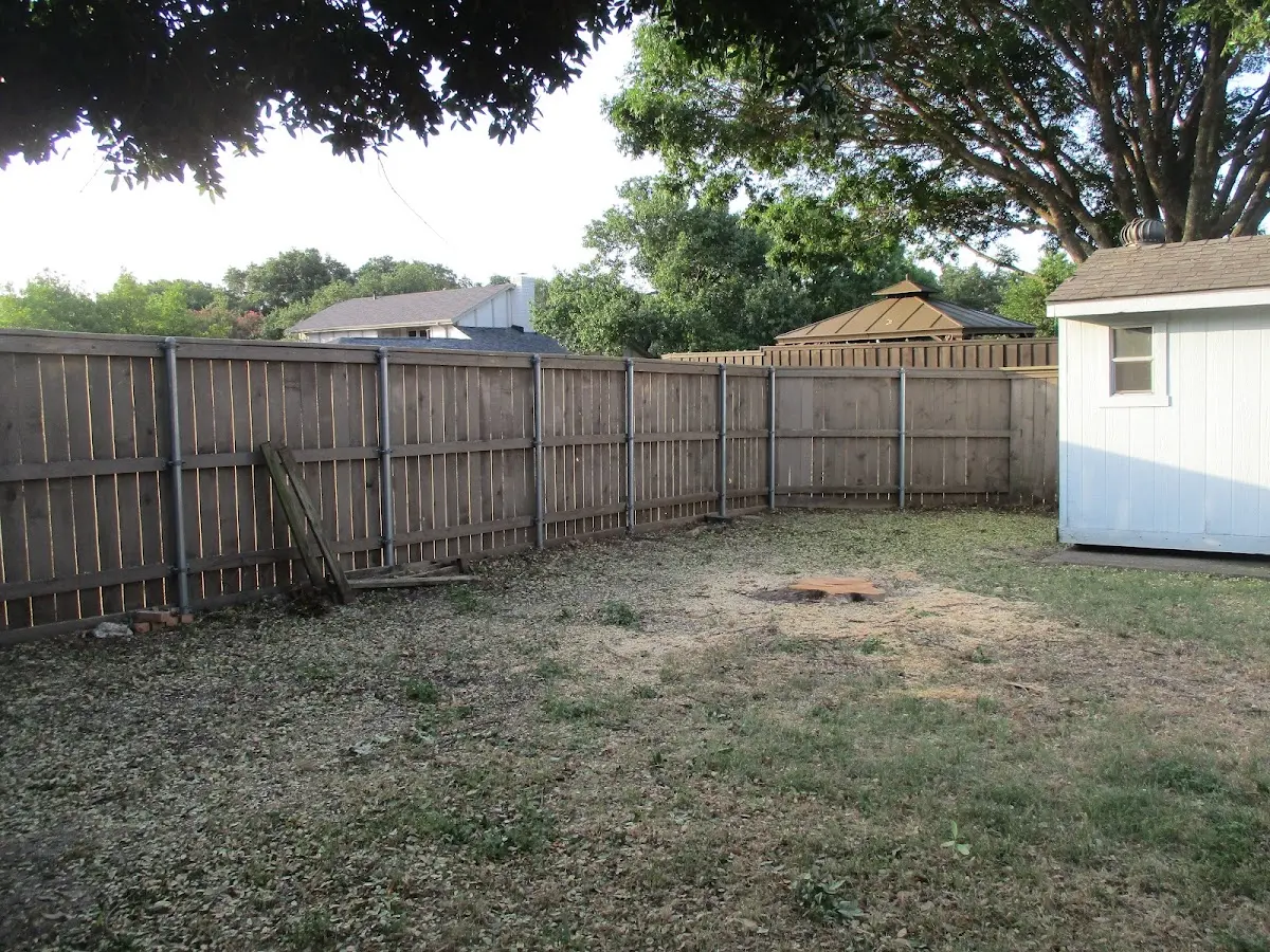 Cleared yard after professional tree removal in Center Barnstead